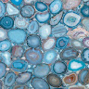 Meet your Posher, Savannah